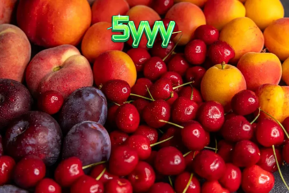 Seleção de novos jogos de slot da Amusnet com temas de frutas e mecânicas modernas.